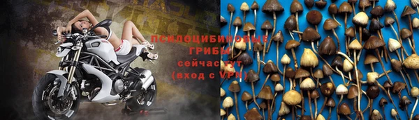 MDMA Сковородино