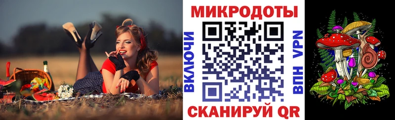 Псилоцибиновые грибы Psilocybine cubensis  Нижний Тагил 