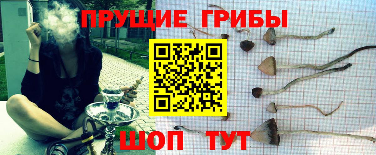 Галлюциногенные грибы MAGIC MUSHROOMS  хочу наркоту  Нижний Тагил  Вход с VPN 